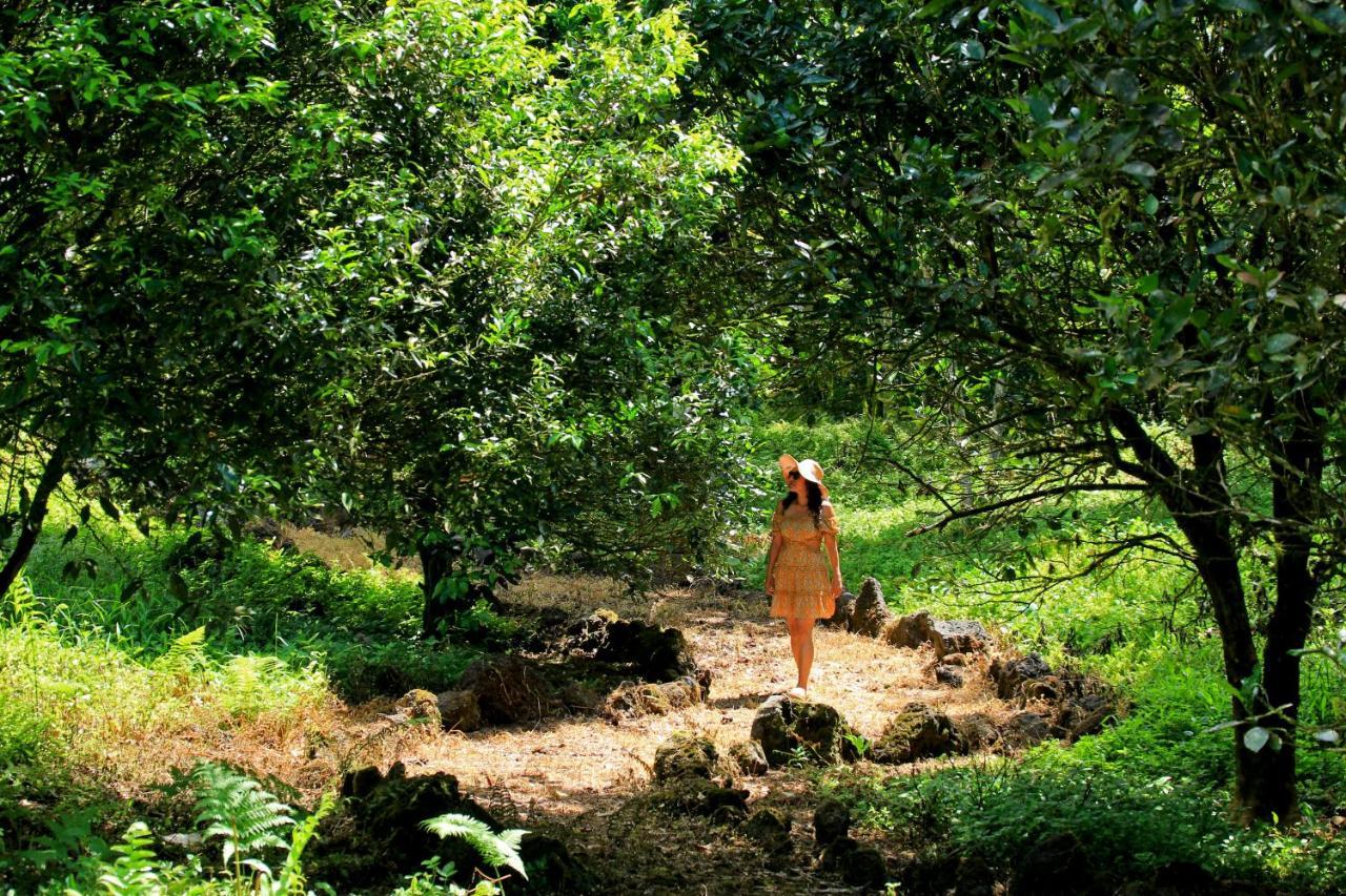Natura Gardens Galapagos Bellavista  Dış mekan fotoğraf