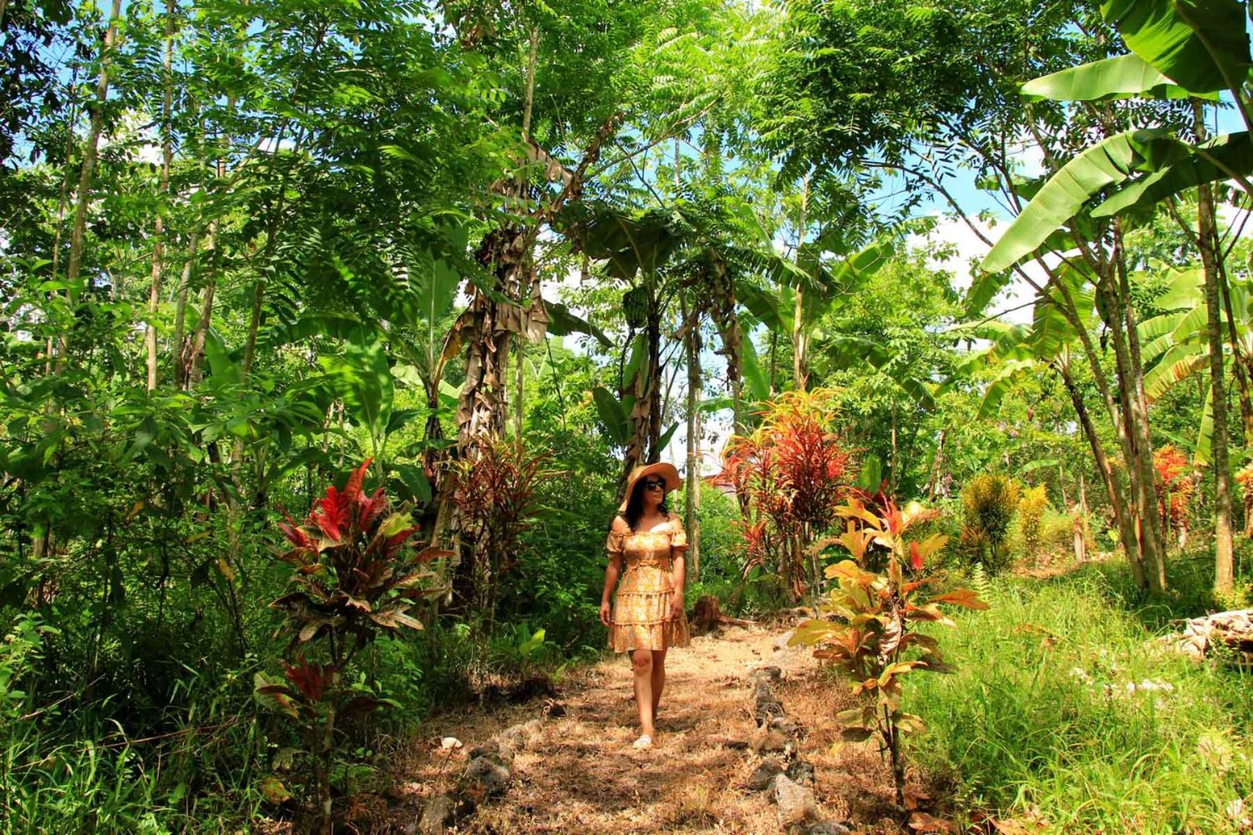 Natura Gardens Galapagos Bellavista  Dış mekan fotoğraf